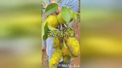 并据此优化产物